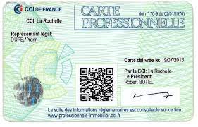 logo_immobilier